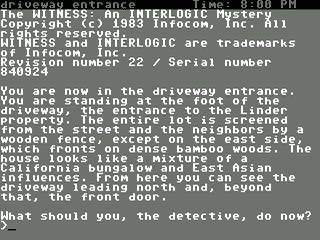 Witness, The — ss (US)