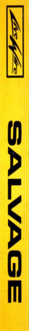 Salvage — box-2D-side (WOR)