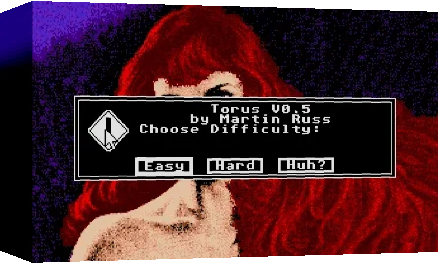 Torus — box-3D (WOR)