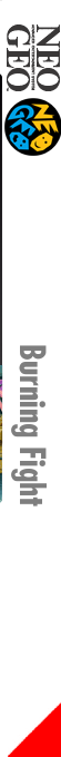 Burning Fight — box-2D-side (FR)