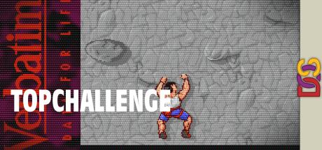 TopChallenge — steamgrid