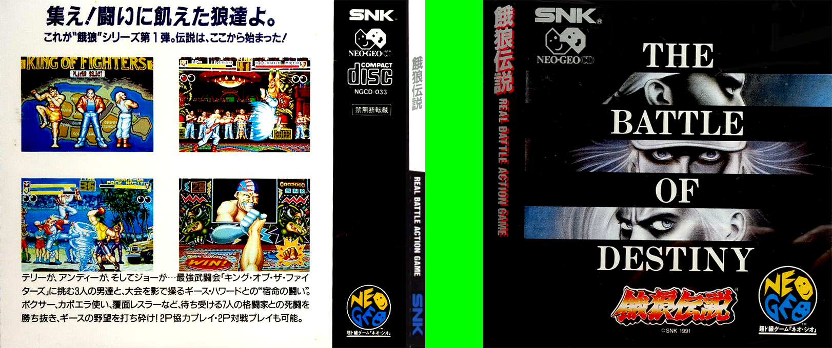 Fatal Fury - Fight Of Destiny — box-texture (JP)
