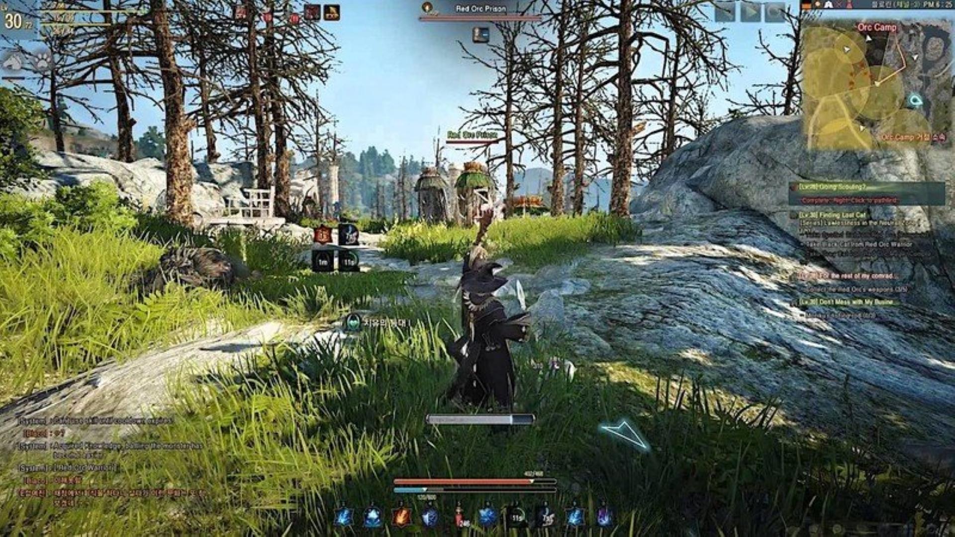 Black Desert Online — ss (WOR)