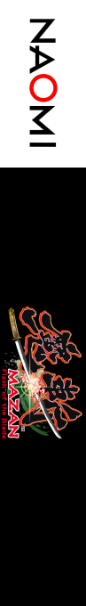 Mazan - Flash of the Blade — box-2D-side (WOR)