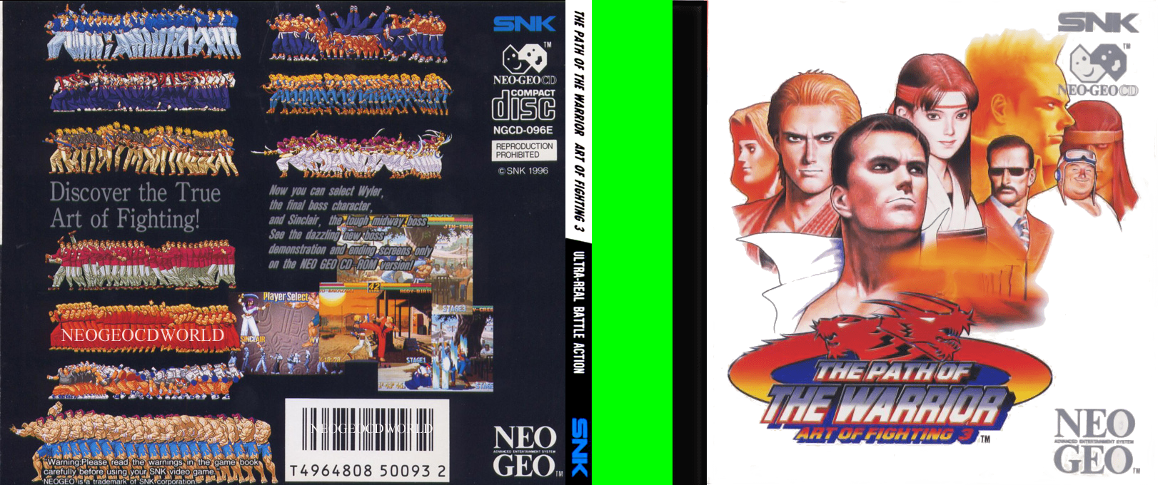Art of Fighting - Ryuuko no Ken Gaiden ~ The Path of the Warrior - Art of Fighting 3 — box-texture (WOR)