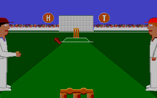 International Cricket 2 — ss (WOR)