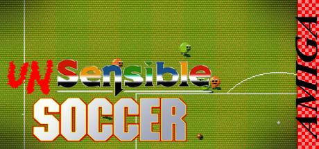 Unsensible Soccer — steamgrid