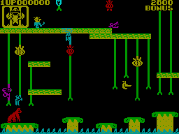 Donkey Kong Jr. — ss (WOR)