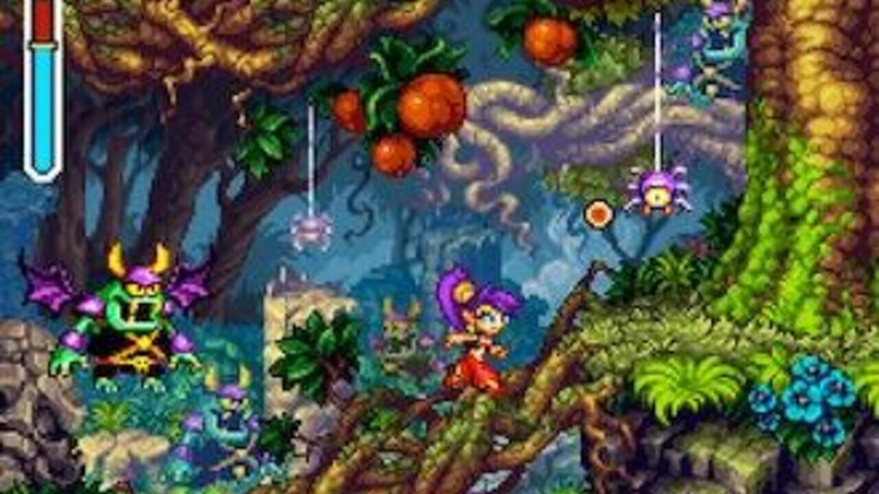 Shantae - Risky's Revenge — screenshot (WOR)