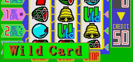 Wild Card — steamgrid