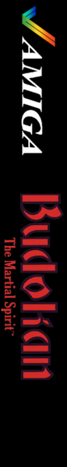 Budokan - The Martial Spirit — box-2D-side (EU)