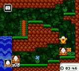 Toki Tori — ss (WOR)