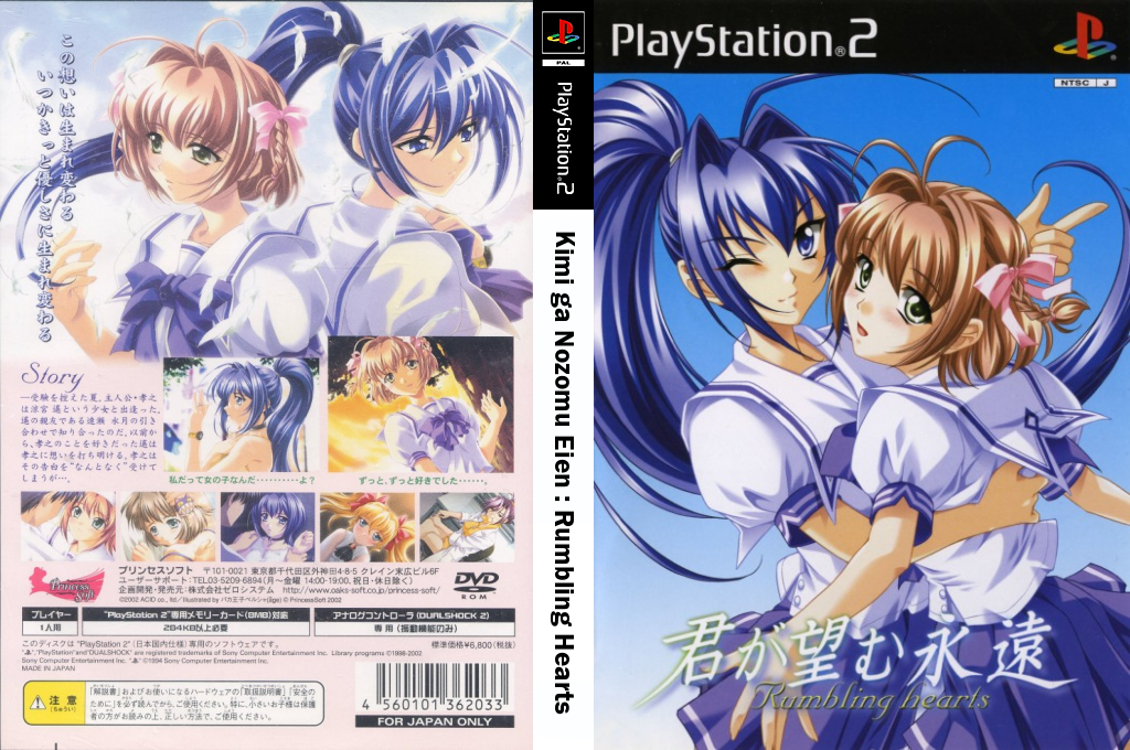 Kimi ga Nozomu Eien - Rumbling Hearts — box-texture (JP)