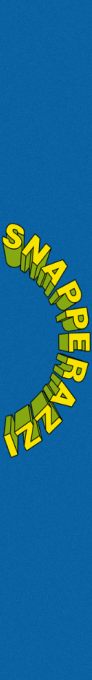 Snapperazzi - The Alien Who Invades Your Space! — box-2D-side (EU)