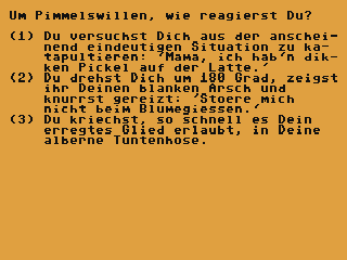 Fick dich selbst — ss (DE)