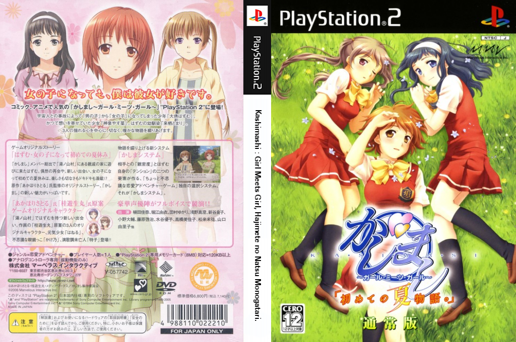 Kashimashi - Girl Meets Girl - Hajimete no Natsu Monogatari. — box-texture (JP)
