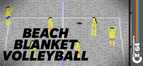 Beach Blanket Volleyball — steamgrid