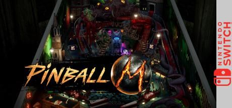 Pinball M — steamgrid