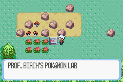 Pokemon - Snakewood — ss (WOR)