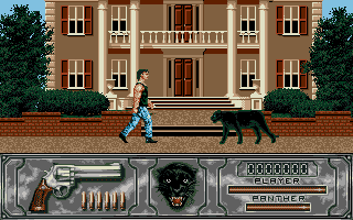 Wild Streets — ss (EU)