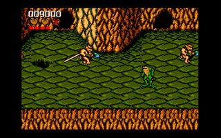 Battletoads — ss (WOR)
