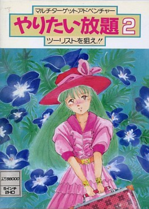 Yaritai Houdai 2 box art