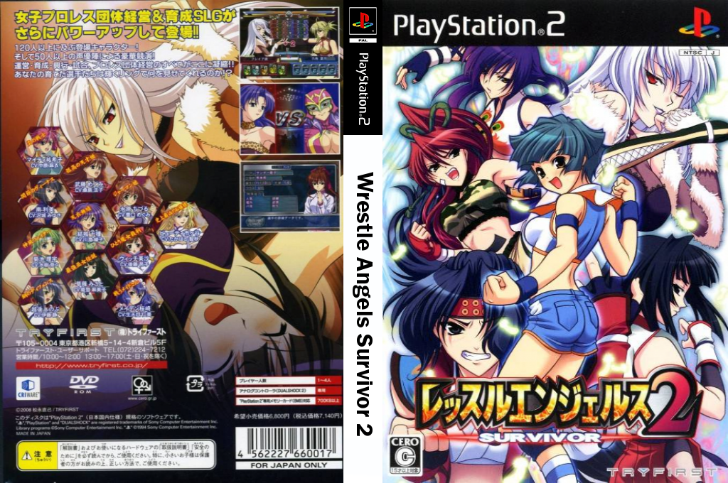 Wrestle Angels Survivor 2 — box-texture (JP)