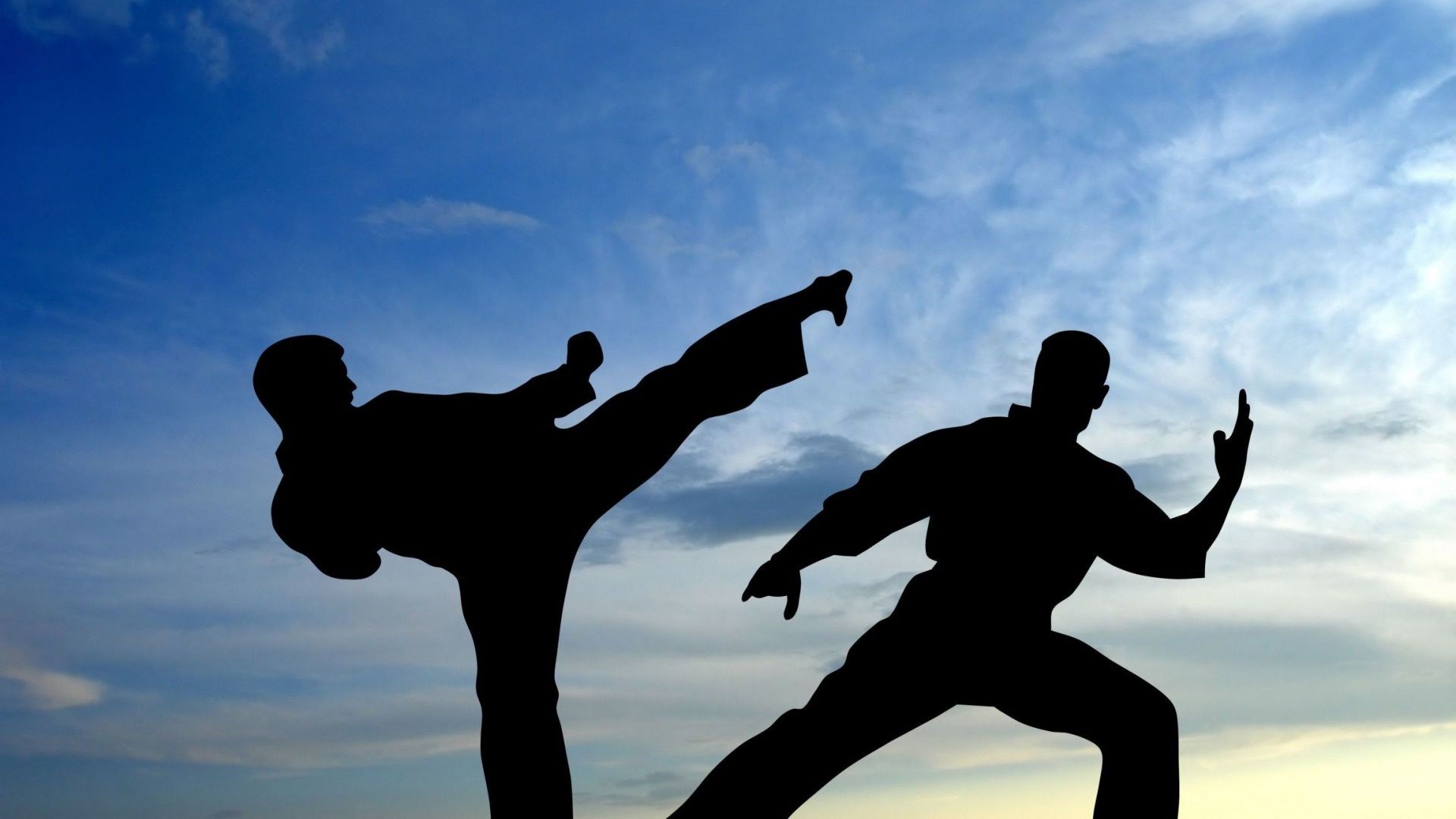 International Karate — fanart