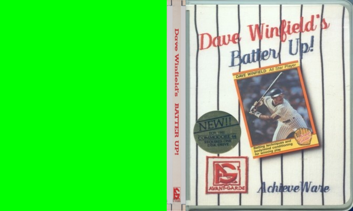 Dave Winfield's Batter Up! — box-texture (WOR)