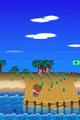 Animal Crossing - Wild World — ss (WOR)