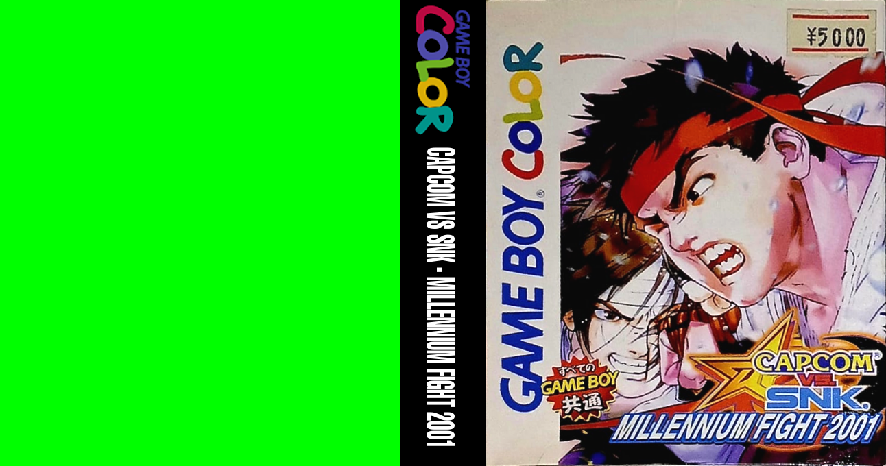 Capcom vs SNK - Millennium Fight 2001 — box-texture (JP)