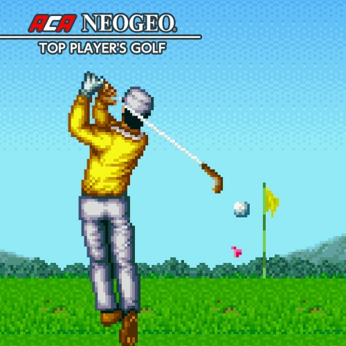 Aca Neogeo Top Player's Golf — support-texture (CUS)