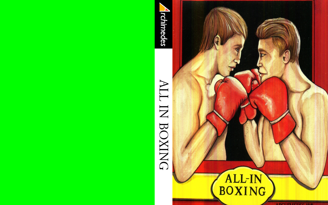 All-In Boxing — box-texture (EU)