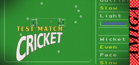 Test Match Cricket — steamgrid