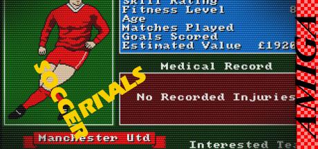 Soccer Rivals — steamgrid