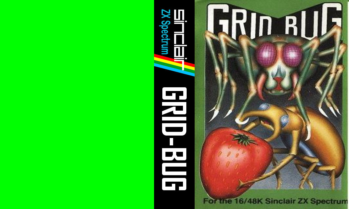 Grid-Bug — box-texture (WOR)
