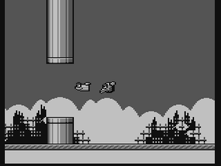 Zappy Bird — ss (WOR)