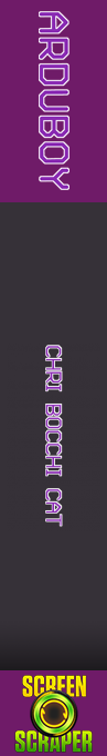Chri-Bocchi Cat — box-2D-side (SS)