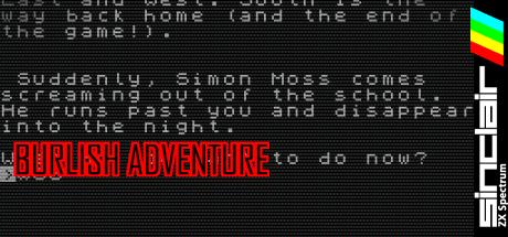 Burlish Adventure — steamgrid