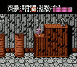 Ninja Gaiden — ss (WOR)