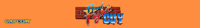 Final Fight Guy — box-2D-side (US)