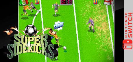 Aca Neogeo Super Sidekicks — steamgrid