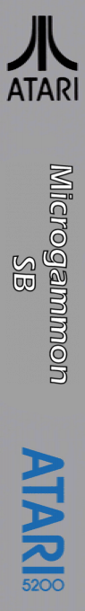 Micro-gammon SB — box-2D-side (US)