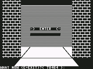 Treasure Raiders — ss (WOR)