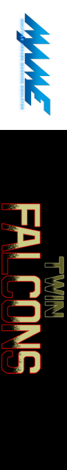 Twin Falcons — box-2D-side (WOR)