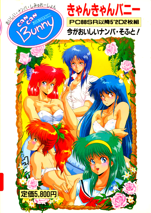 Can Can Bunny box art